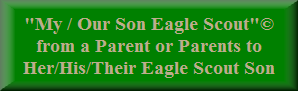 link to “My Son, Eagle Scout” © Poem page